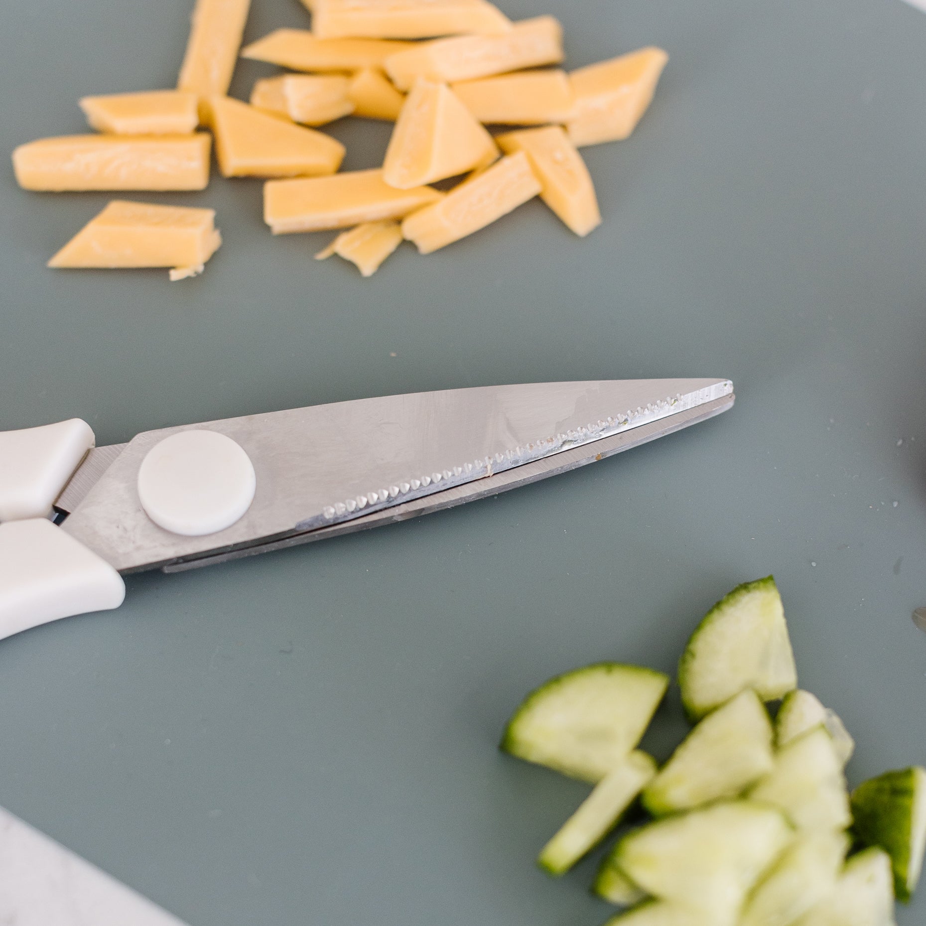 Restaurant Essentials Kit - Check (2024 Model)