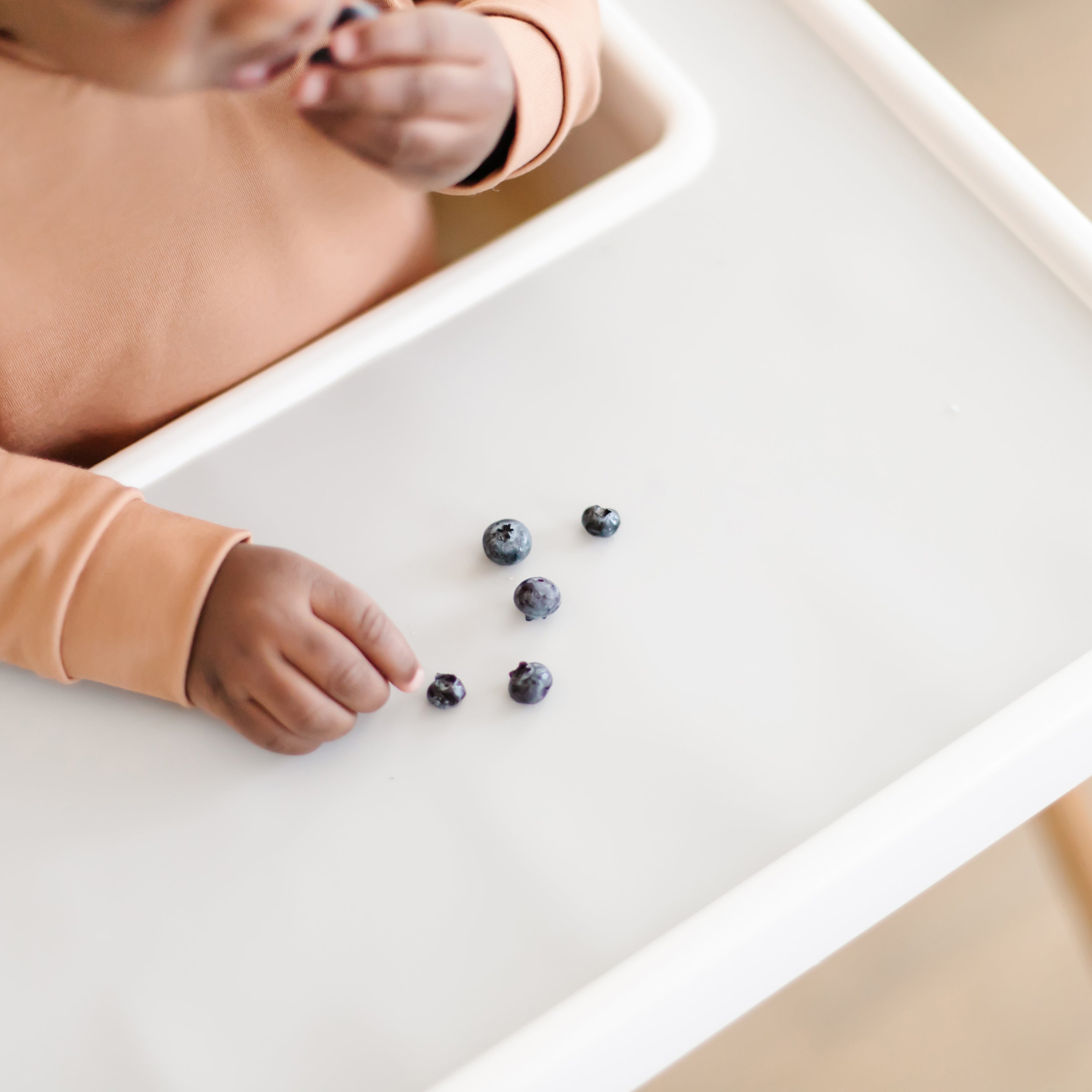 Highchair Placemats