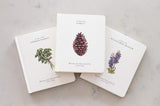 Our Little Adventures Book Set